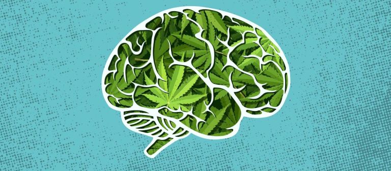 اثر ماریجوانا بر روی مغز - کلینیک ترک اعتیاد پیام تندرستی