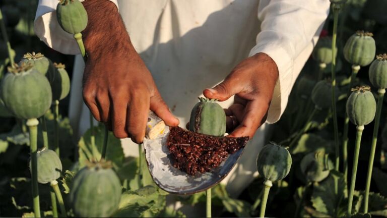 عوارض خوردن شیره تریاک